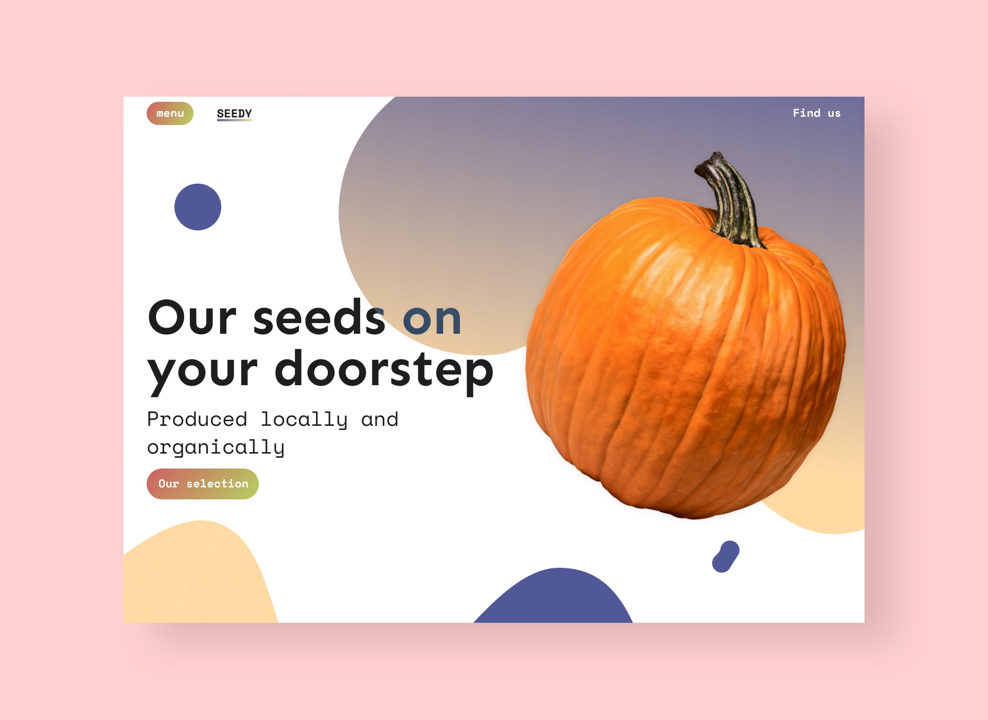 Accueil de seedy en automne